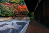 東福寺龍吟庵 方丈縁側と西庭の紅葉