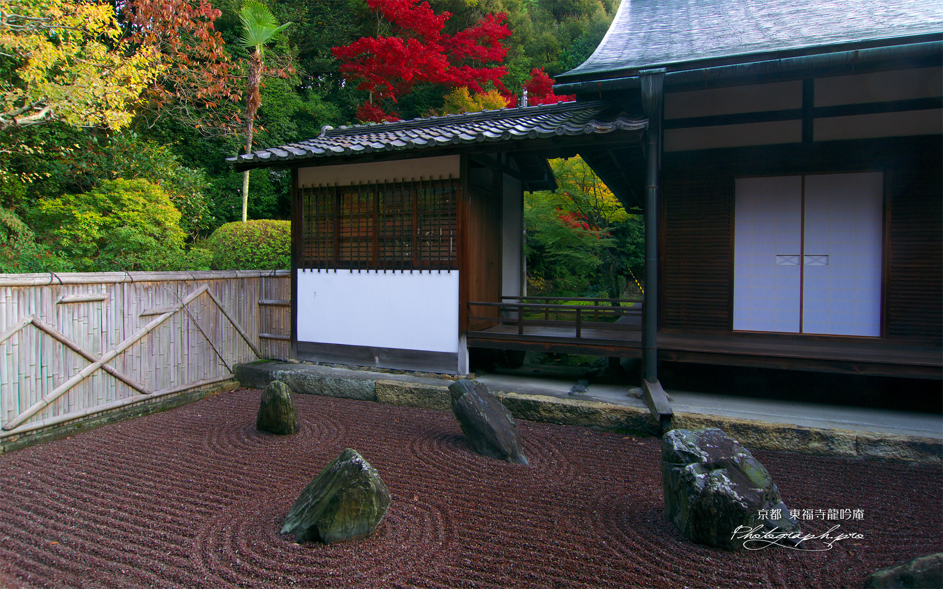 東福寺龍吟庵 紅葉の東庭