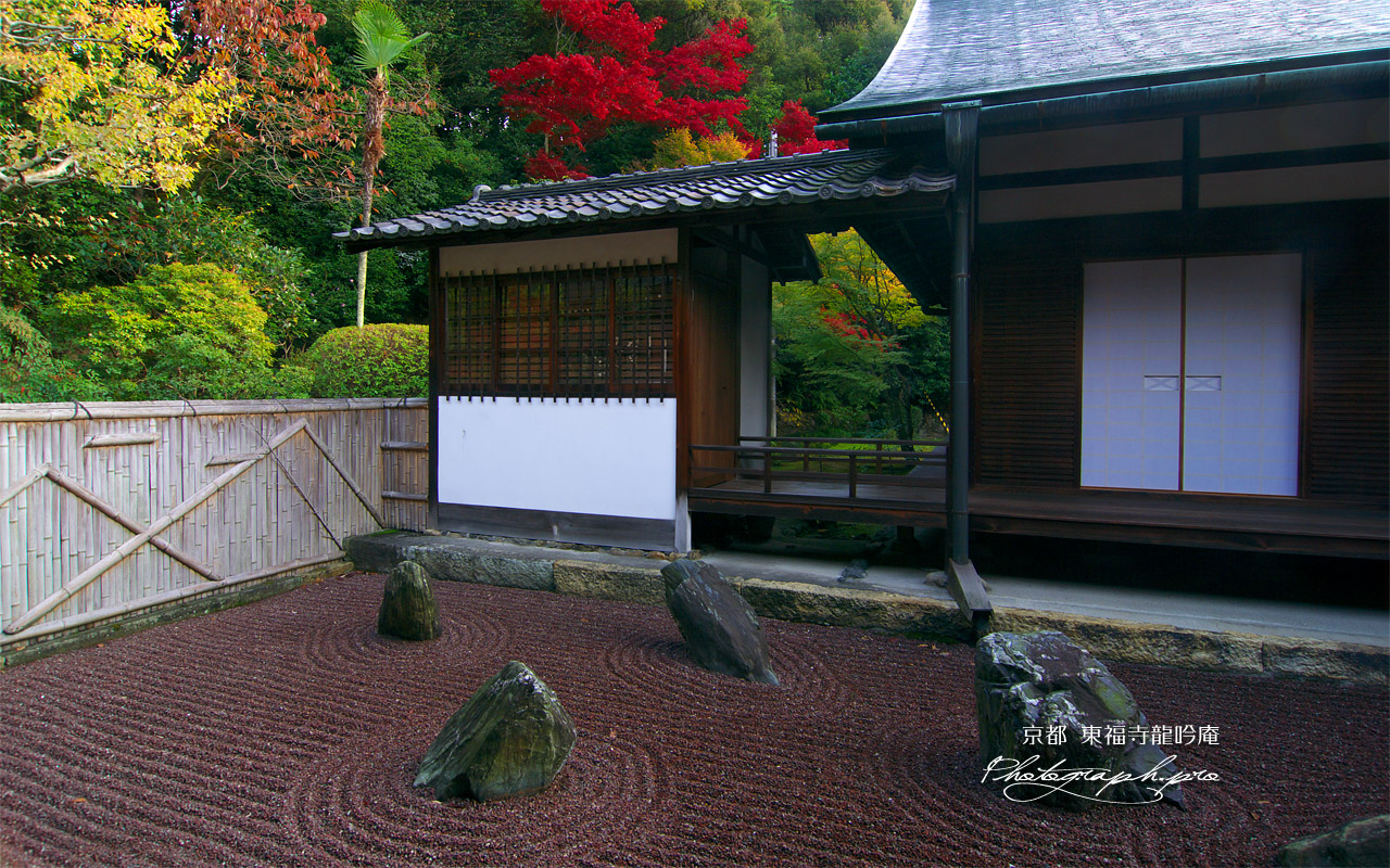 東福寺龍吟庵 紅葉の東庭 壁紙