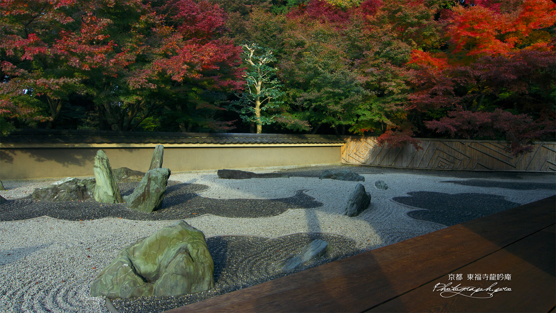 東福寺龍吟庵 紅葉の西庭