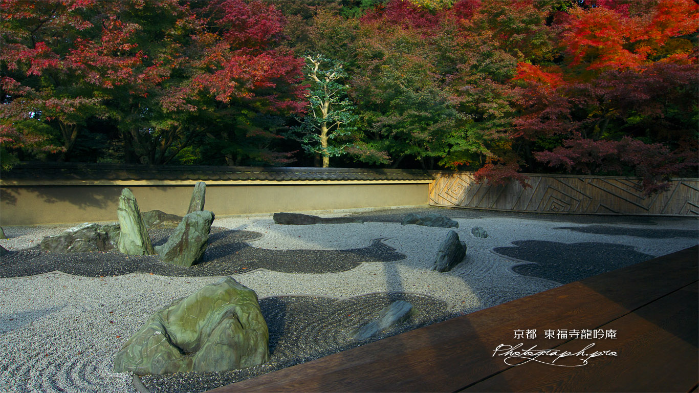 東福寺龍吟庵 紅葉の西庭 壁紙