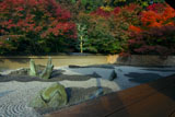 東福寺龍吟庵 紅葉の西庭