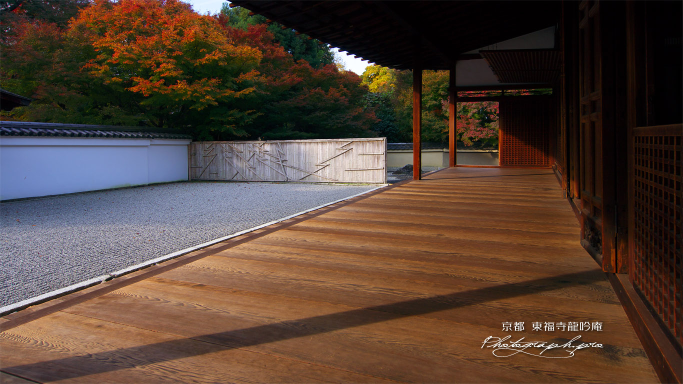 東福寺龍吟庵 紅葉の南庭 の壁紙 1366x768