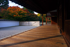 東福寺龍吟庵