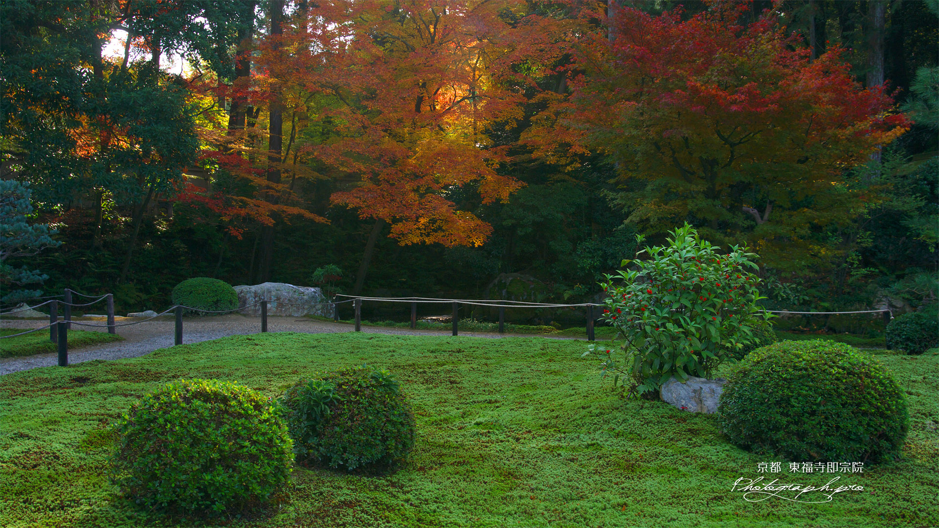 東福寺即宗院 庭園のセンリョウと紅葉