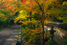 東福寺即宗院