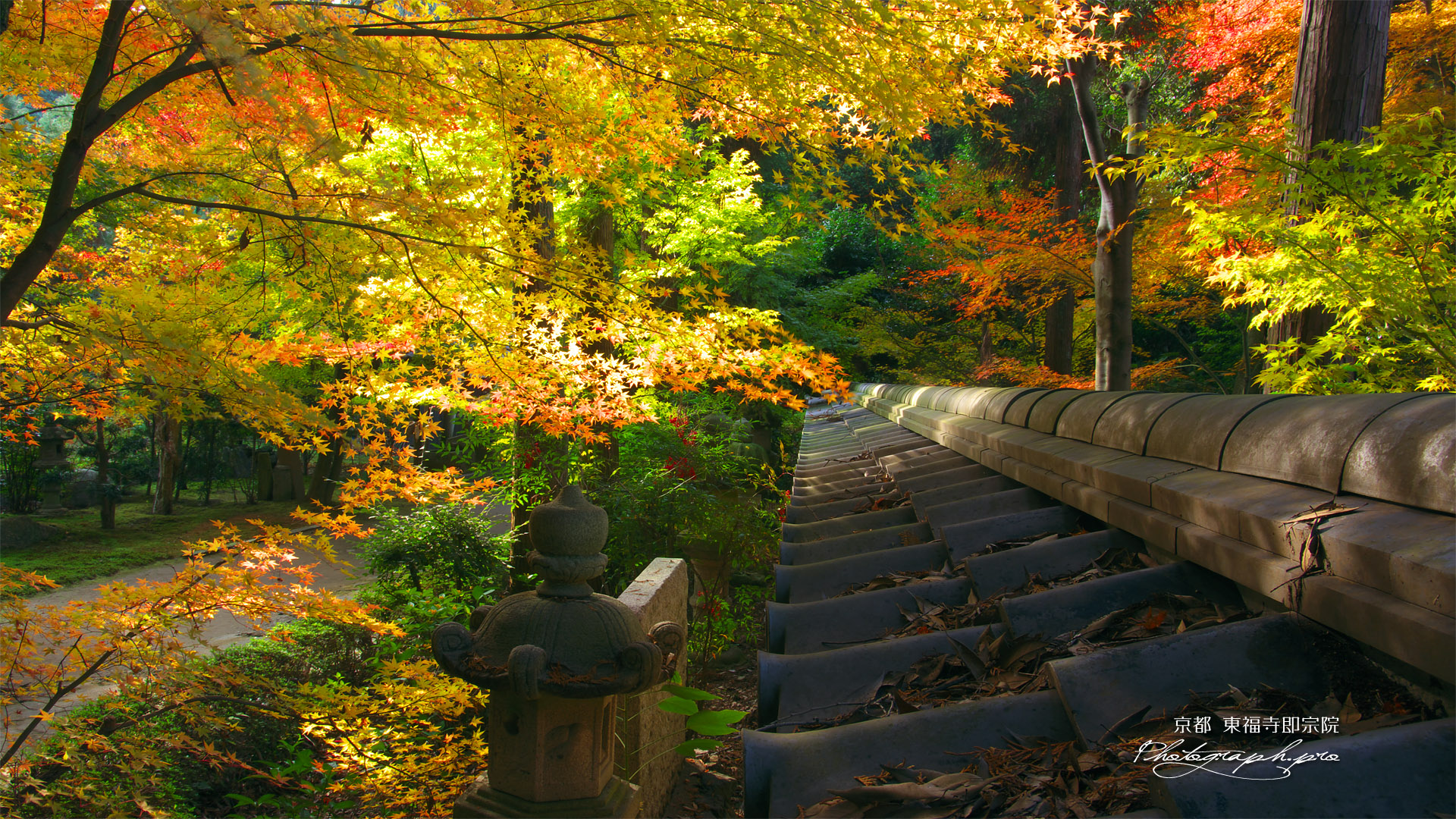 東福寺即宗院 板塀瓦と紅葉