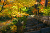 東福寺即宗院 板塀瓦と紅葉