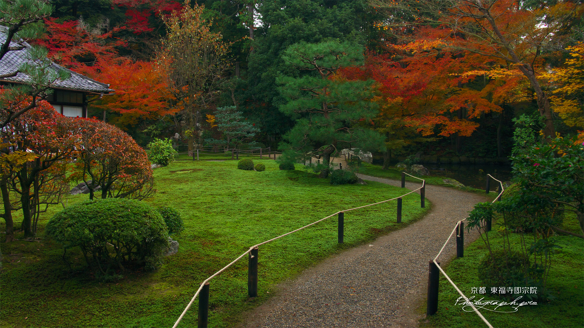 東福寺即宗院 庭園の紅葉