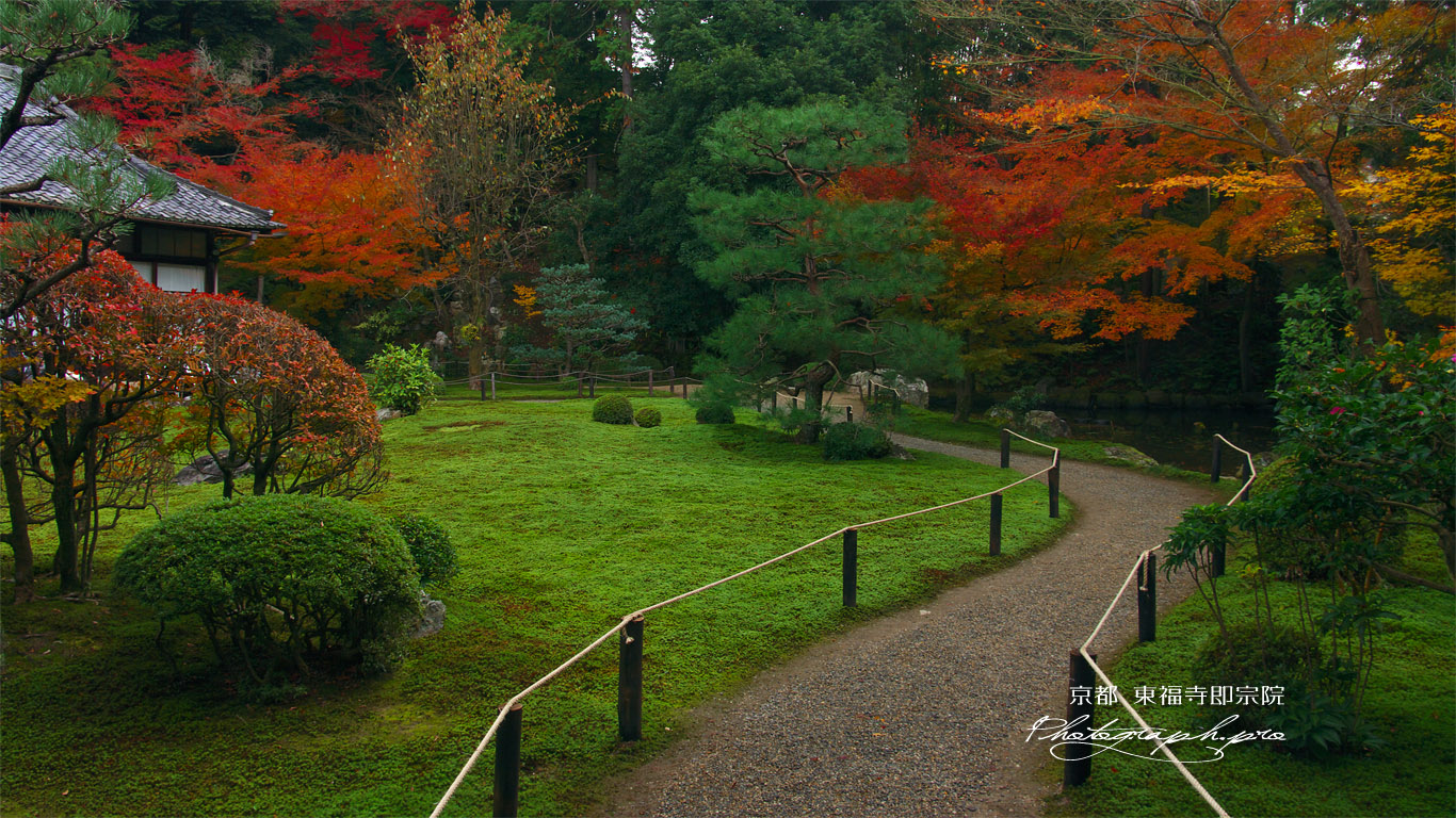 東福寺即宗院 庭園の紅葉 壁紙