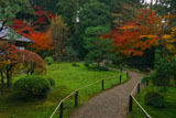 東福寺即宗院 庭園の紅葉