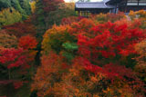 東福寺洗玉澗の紅葉