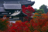 紅葉の東福寺方丈