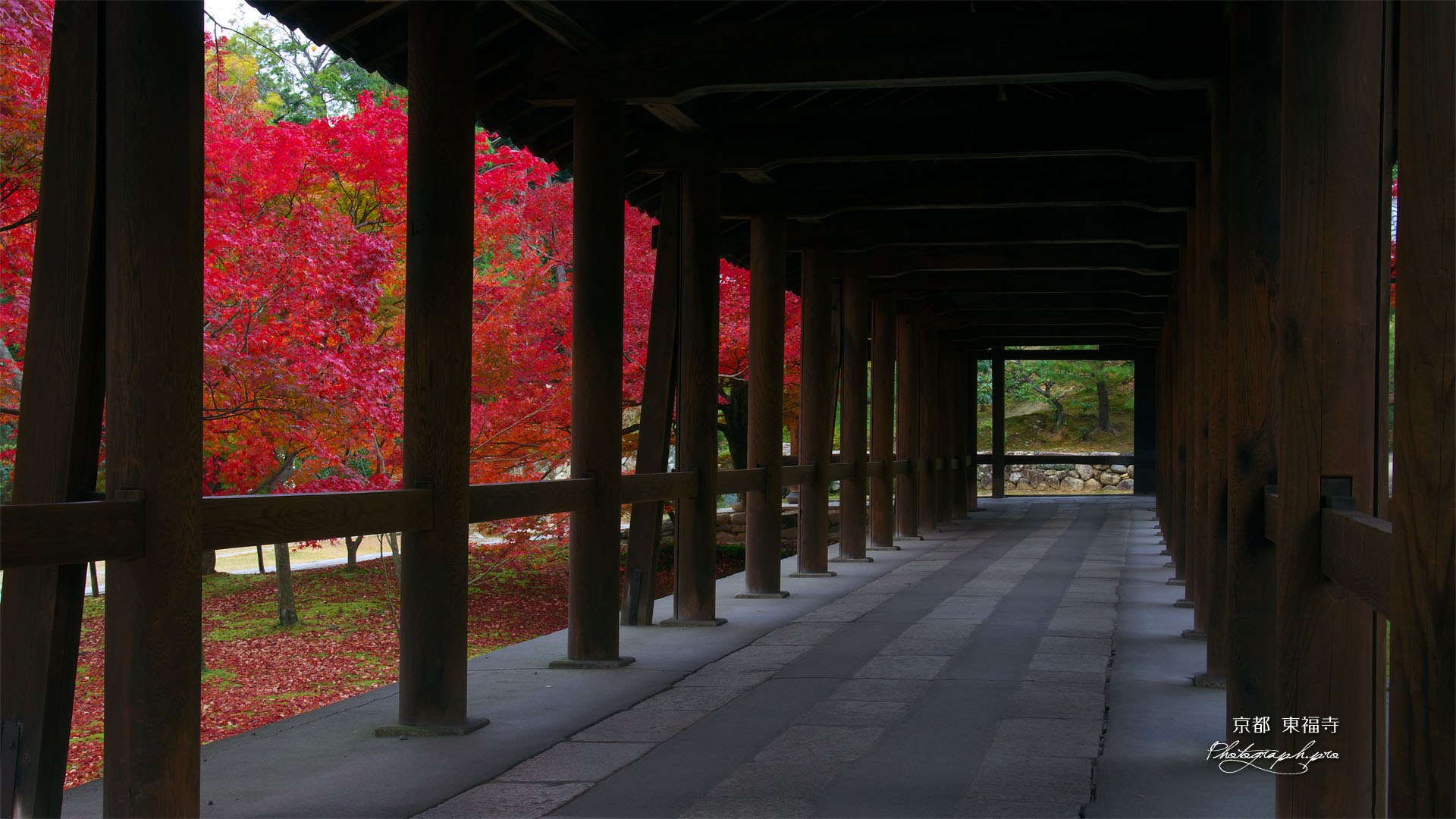 東福寺通天橋歩廊からの紅葉