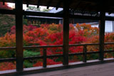 東福寺通天橋越しの紅葉と方丈