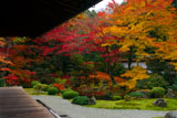 泉涌寺御座所庭園の紅葉