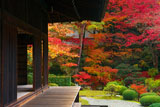 泉涌寺御殿と紅葉