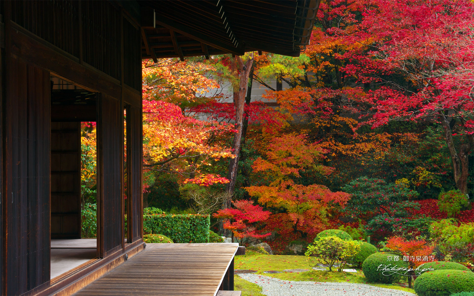 泉涌寺御殿と紅葉