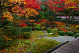 縁側から眺めた泉涌寺庭園