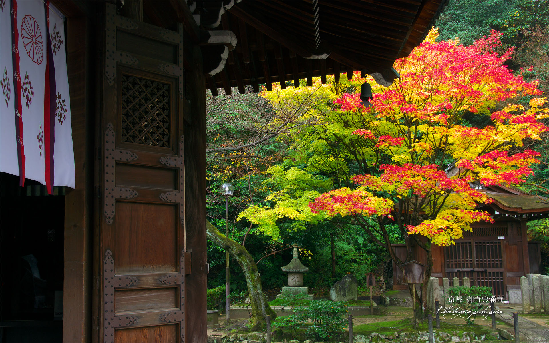 泉涌水屋形と紅葉