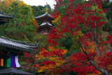 今熊野観音寺