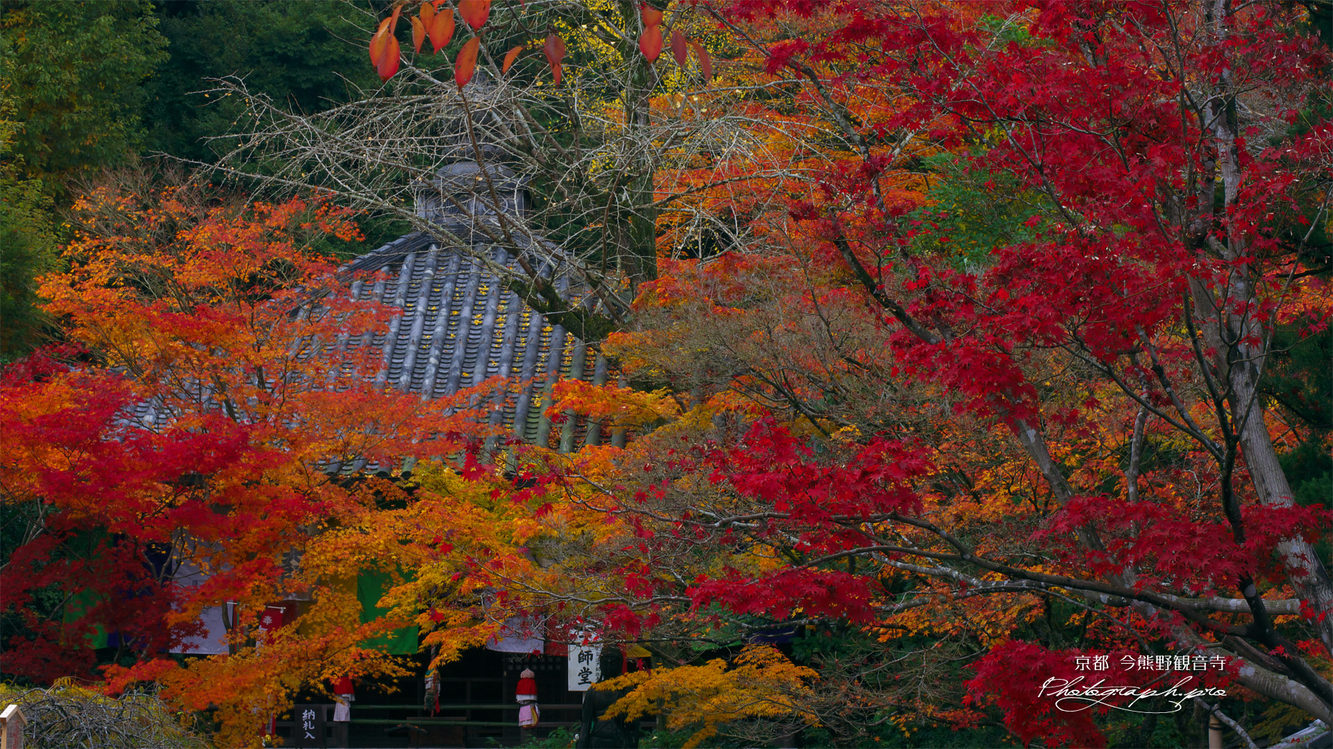 紅葉の今熊野観音寺大師堂