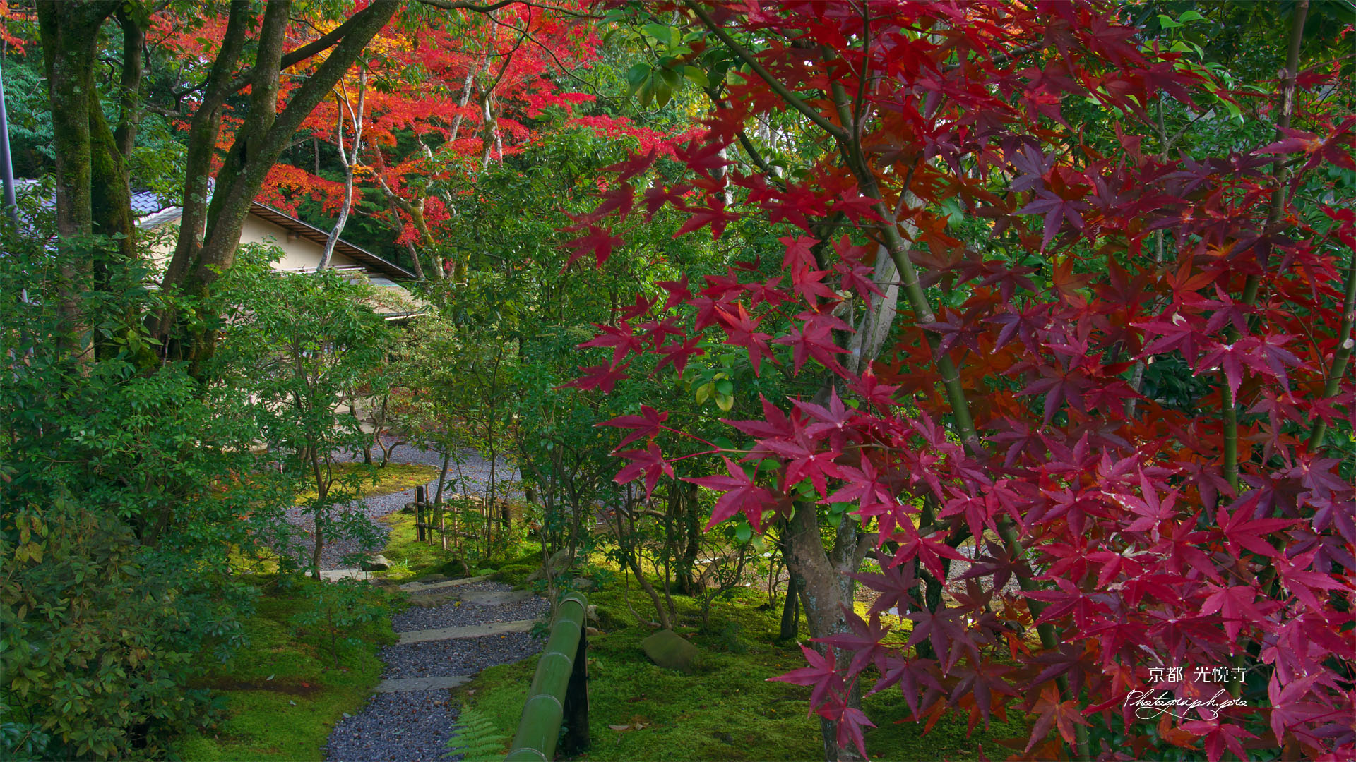 紅葉越しの光悦寺茶室