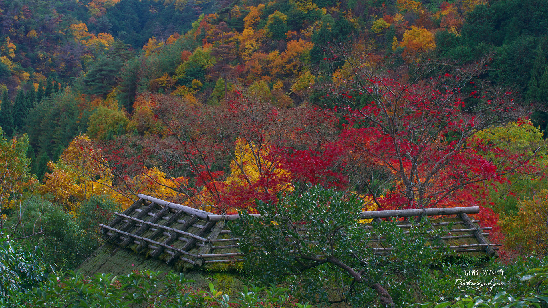鷹ヶ峯の紅葉