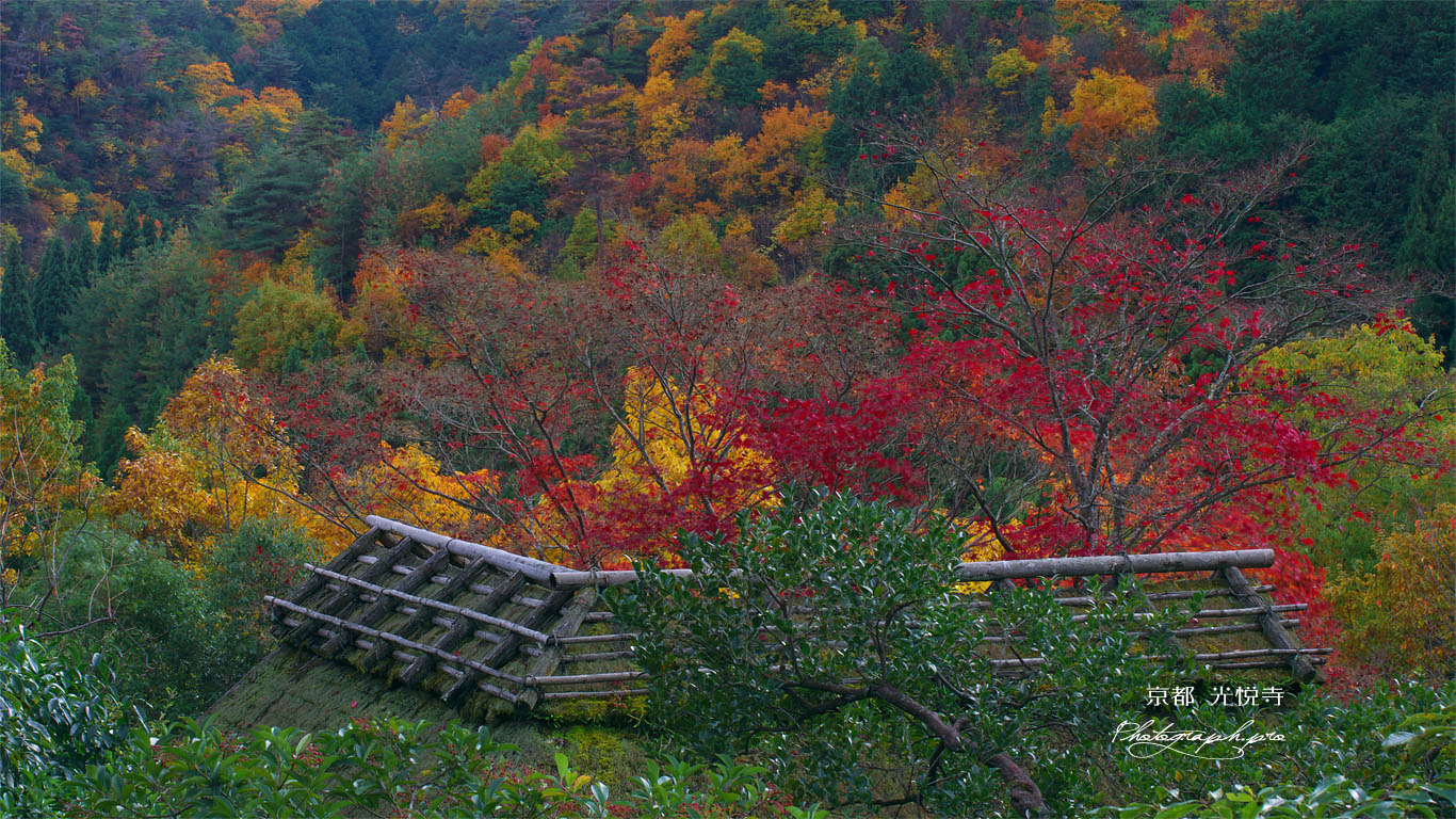 鷹ヶ峯の紅葉 壁紙