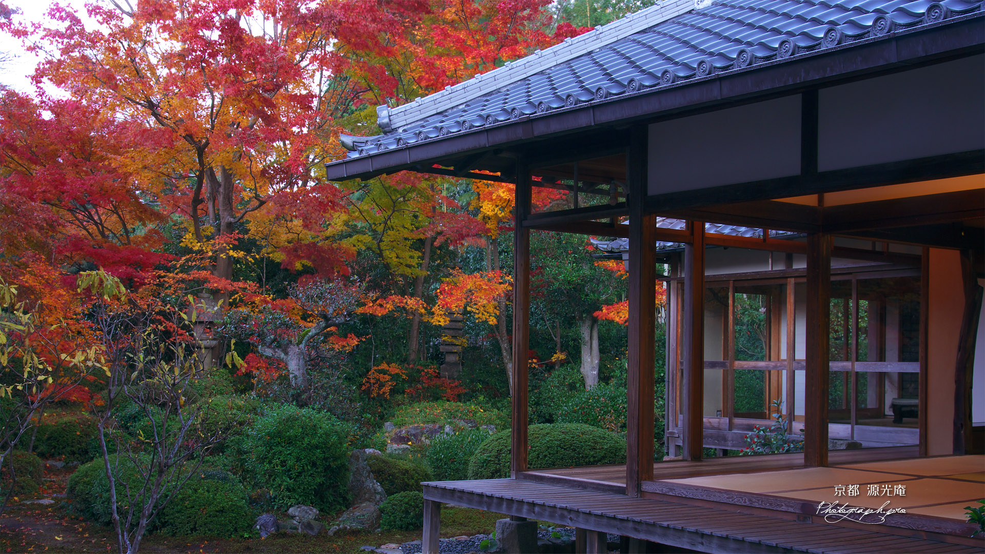 源光庵 客殿と庭園の紅葉