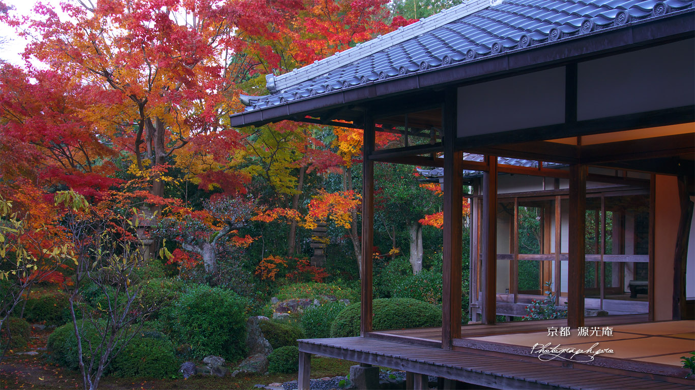 源光庵 客殿と庭園の紅葉 壁紙