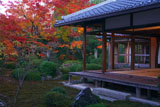 源光庵 客殿と庭園の紅葉