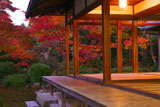 源光庵 夕刻の客殿と紅葉