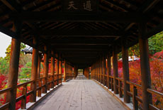東福寺