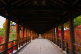 東福寺