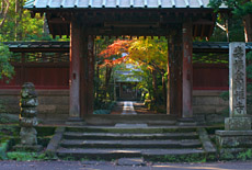 寿福寺