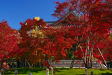 智積院の紅葉