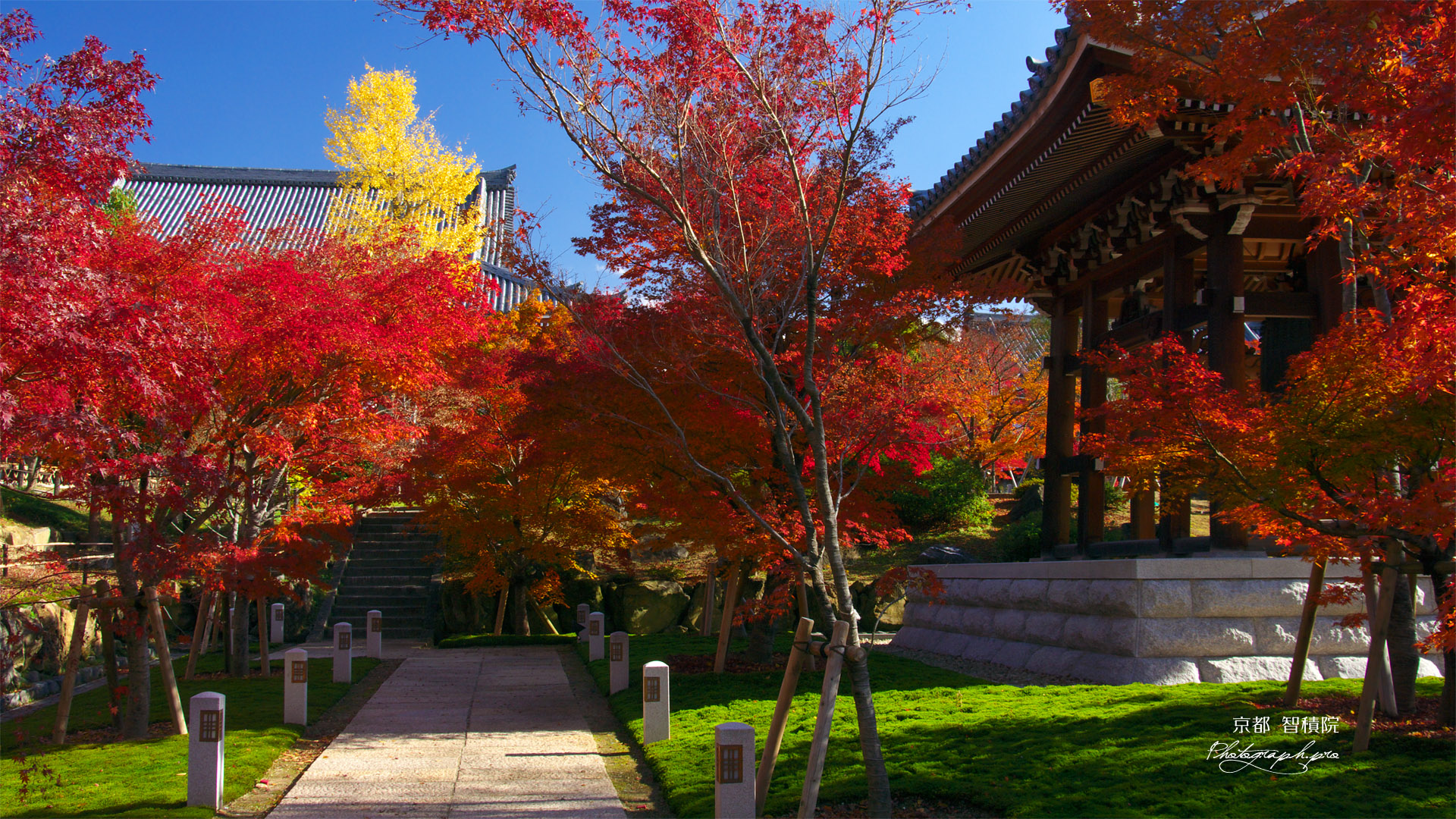 智積院鐘楼付近の紅葉