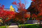 智積院鐘楼付近の紅葉
