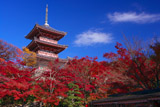 清水寺三重塔と紅葉