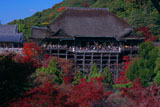 清水寺錦雲渓の紅葉と本堂