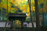 地蔵院