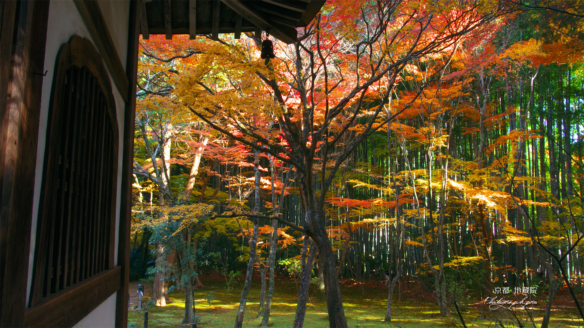 京都地蔵院（竹の寺）の地蔵堂と紅葉