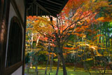 京都地蔵院（竹の寺）の地蔵堂と紅葉