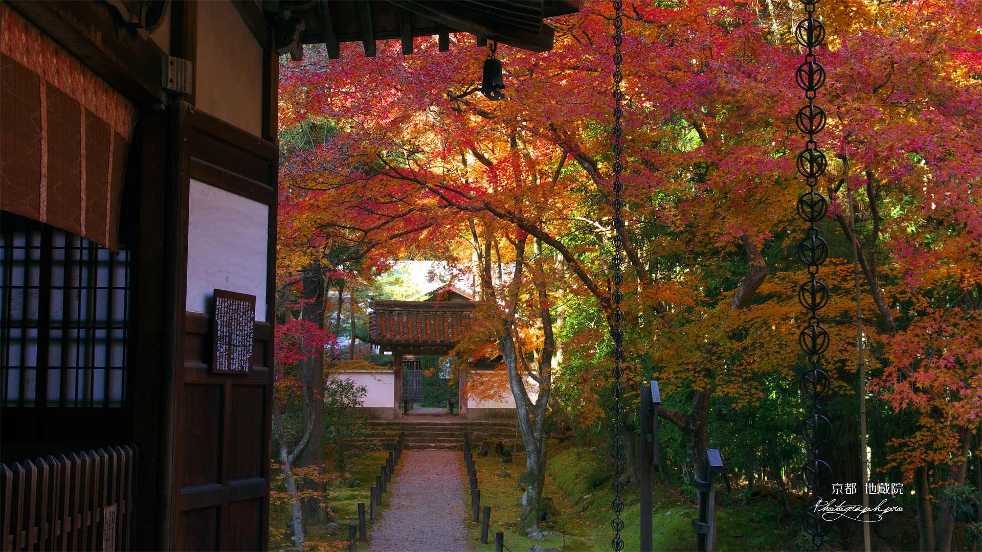 京都地蔵院（竹の寺）の本堂と中門