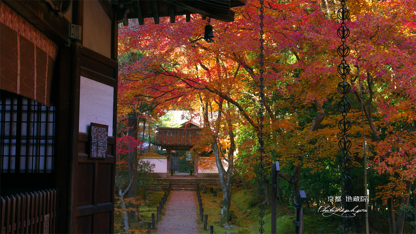 京都地蔵院（竹の寺）の本堂と中門 壁紙