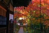 京都地蔵院（竹の寺）の本堂と中門