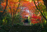 京都浄住寺の石段と紅葉