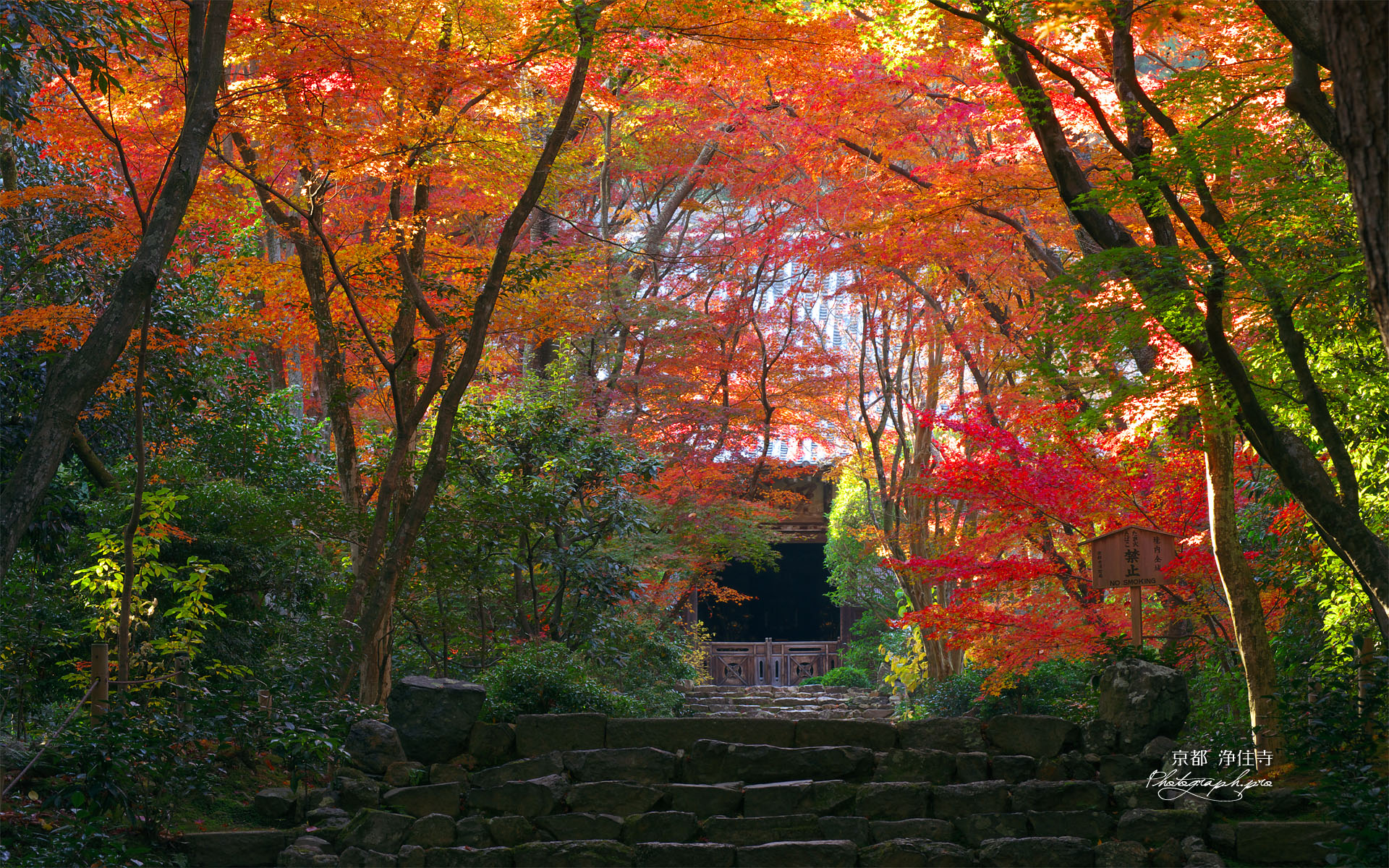 京都浄住寺の石段と紅葉