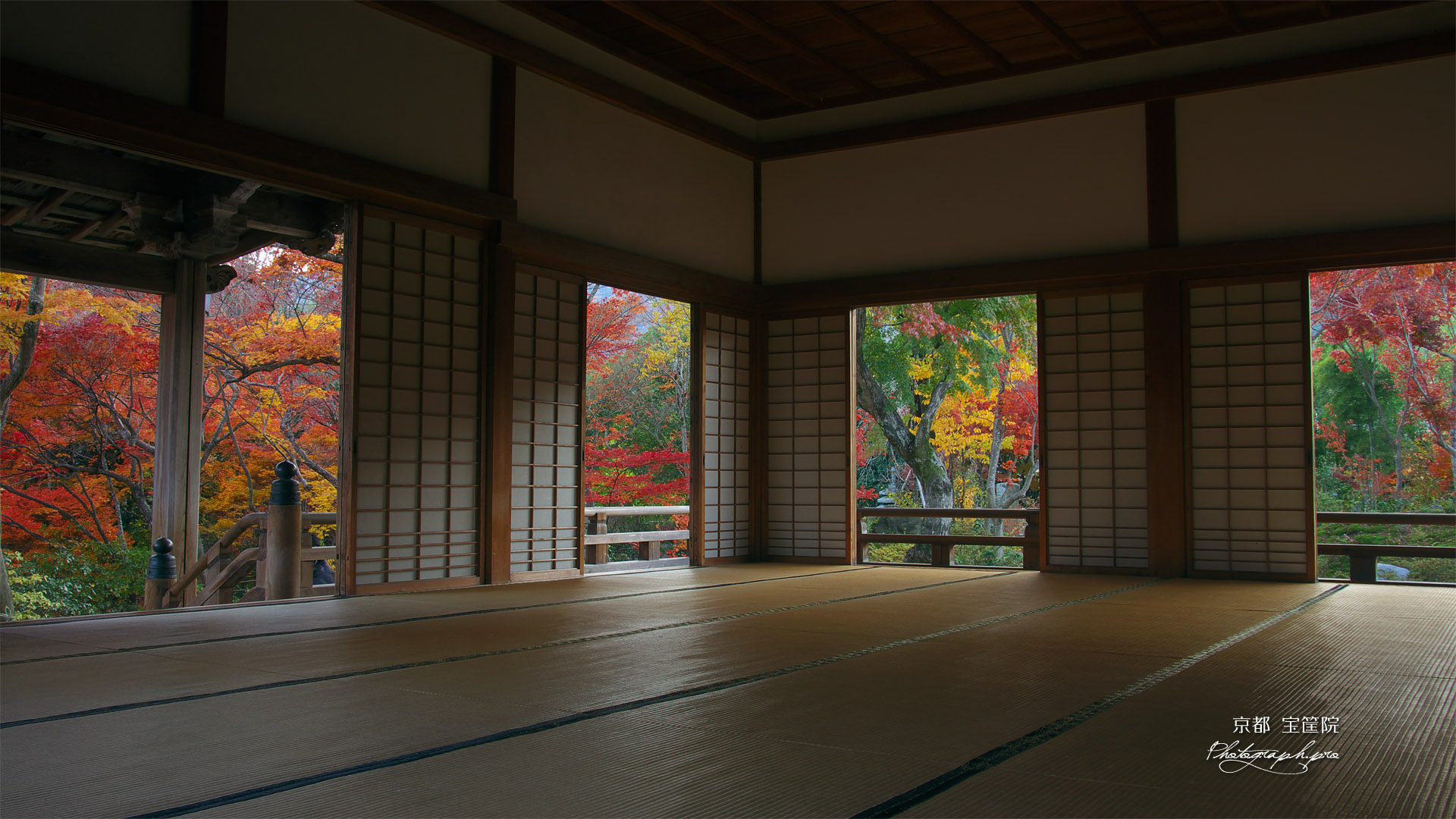 宝筐院 本堂からの紅葉